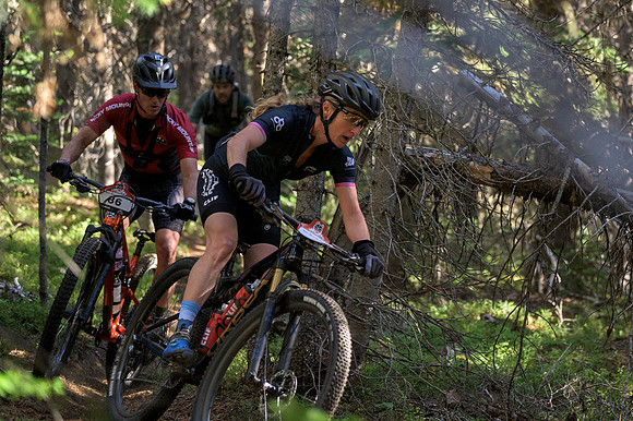 BCBR22_5_0071_DS