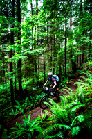 BCBR14_TW_Day01_0409