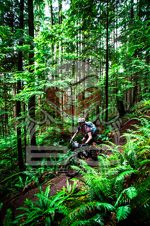 BCBR14_TW_Day01_0409