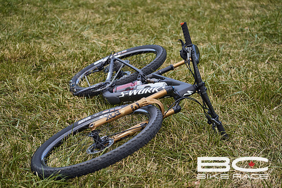 BCBR2024_Day1_DM 13