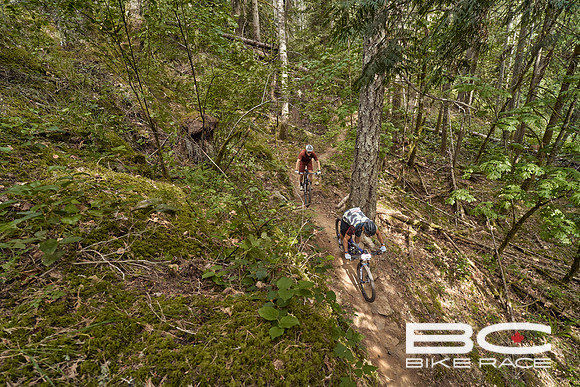 BCBR2024_Day1_DM 33