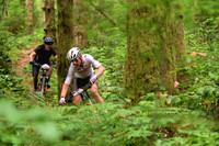 BCBR25_6_0066_DS