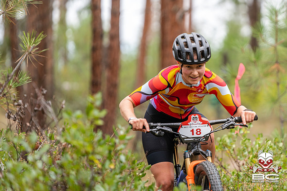 BCBR22_0_CKS00288_CS