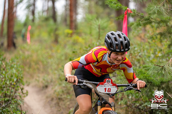 BCBR22_0_CKS00293_CS