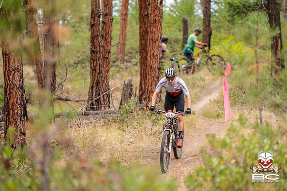 BCBR22_0_CKS00296_CS