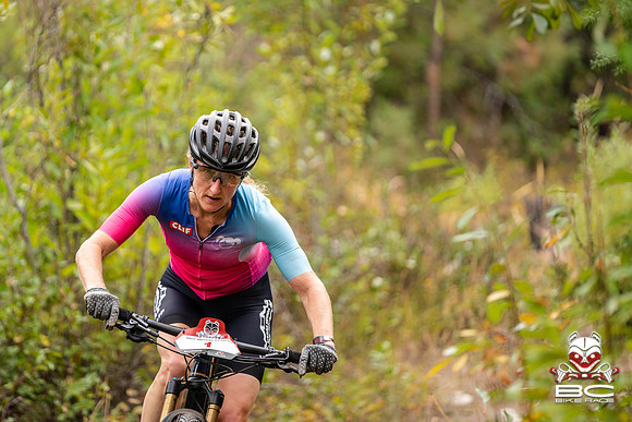 BCBR22_0_CKS00384_CS