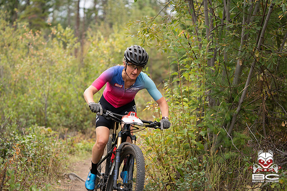 BCBR22_0_CKS00387_CS