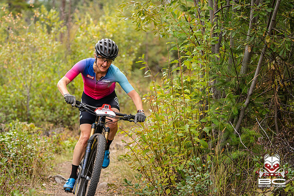 BCBR22_0_CKS00386_CS