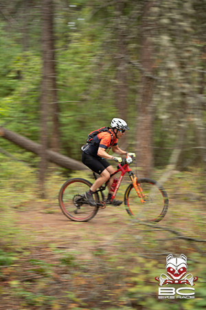 BCBR22_0_CKS00401_CS