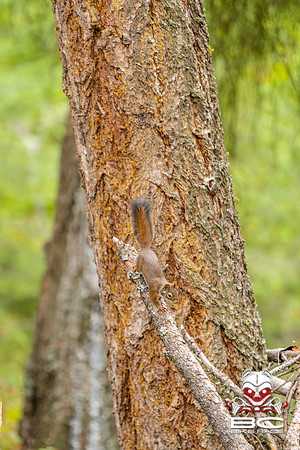 BCBR22_0_CKS00398_CS