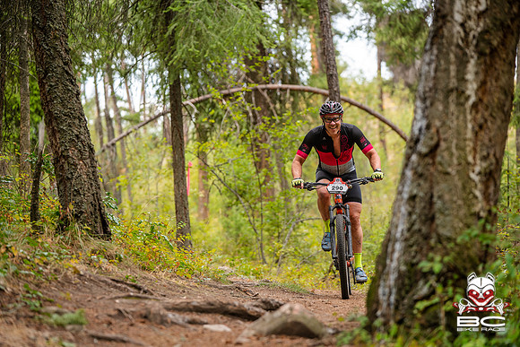BCBR22_0_CKS00451_CS