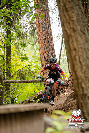 BCBR22_0_CKS00513_CS