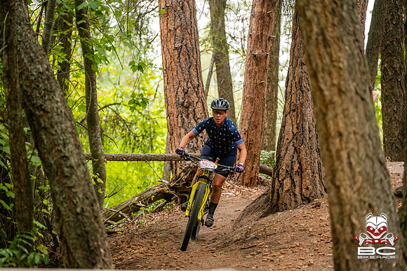 BCBR22_0_CKS00524_CS