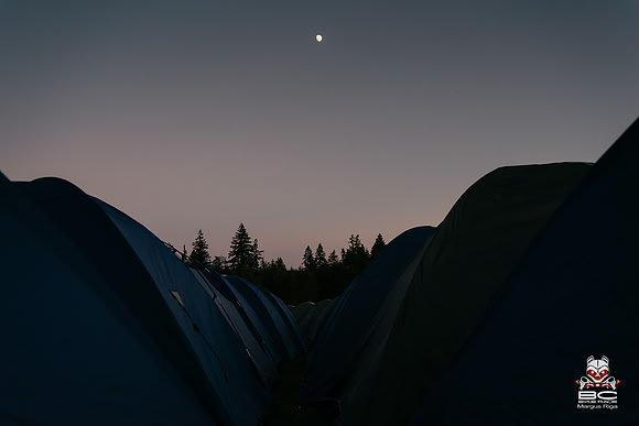 _MRP9534