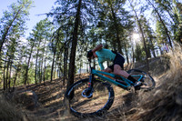 BCBR21_5_0017_DS