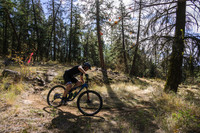 BCBR21_4_0531_DS