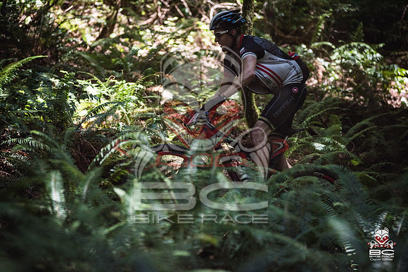 DS_BCBR15_3_368