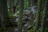 DS_211023_042