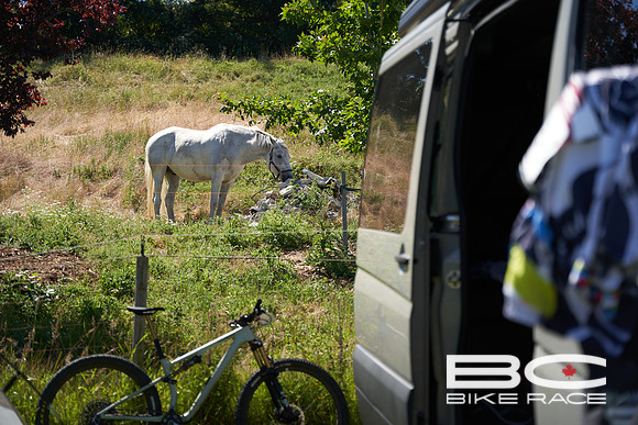 BCBR2024_Day1_DM 92