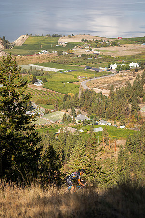 bcbr-stenberg-print-CKS02500