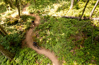 BCBR23_0_0452_DS