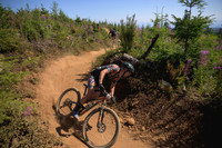 BCBR23_7_0135_DS