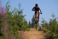 BCBR23_7_0071_DS