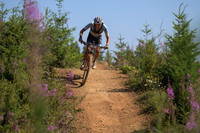 BCBR23_7_0105_DS