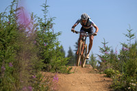 BCBR23_7_0102_DS