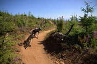 BCBR23_7_0133_DS