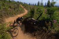 BCBR23_7_0158_DS