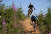 BCBR23_7_0093_DS