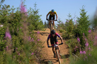 BCBR23_7_0077_DS