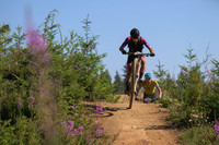 BCBR23_7_0073_DS