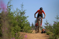 BCBR23_7_0111_DS