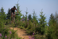 BCBR23_7_0131_DS