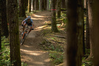 BCBR23_4_0021_DS