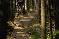 BCBR23_4_0004_DS