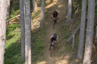 BCBR23_4_0057_DS