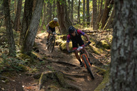 BCBR23_2_0051_DS
