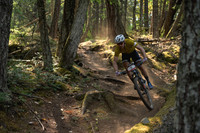 BCBR23_2_0053_DS