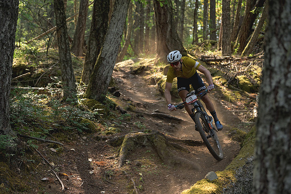 BCBR23_2_0053_DS