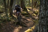 BCBR23_2_0047_DS
