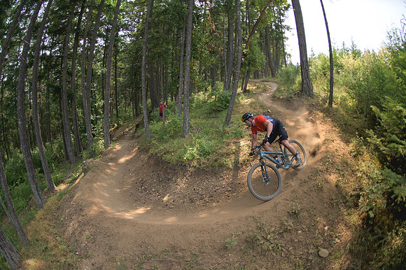 BCBR23_2_0490_DS