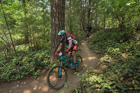BCBR23_2_0405_DS