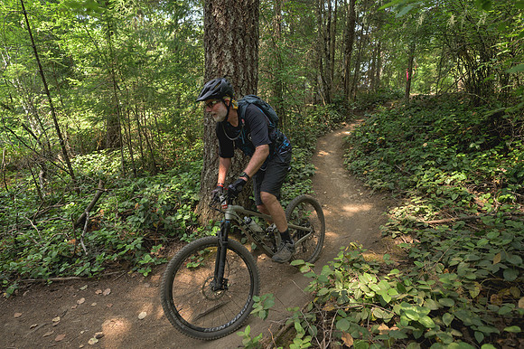 BCBR23_2_0407_DS