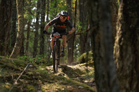 BCBR23_2_0041_DS
