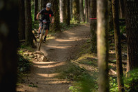 BCBR23_4_0003_DS