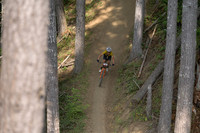 BCBR23_4_0059_DS