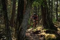 BCBR23_2_0048_DS